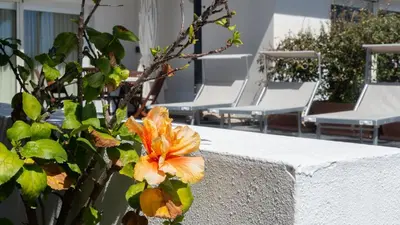 Planimetria di Porto Corallo Seafront