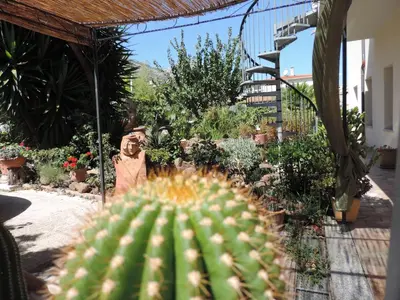 Giardino di Villa Marina