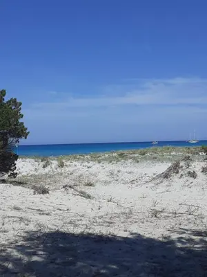 Paesaggio naturale nelle vicinanze dell'affittacamere