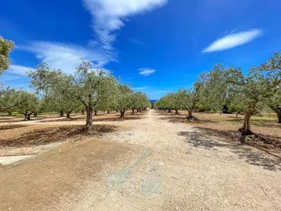 Paesaggio naturale nelle vicinanze dell'appartamento