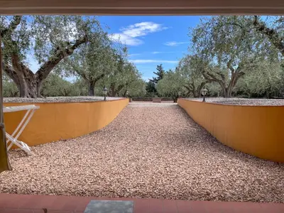 Giardino di Rustico degli Ulivi