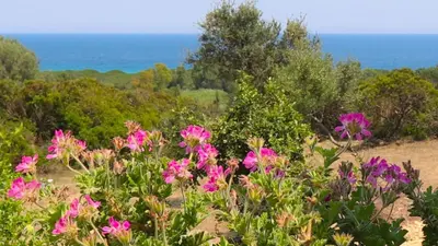 Paesaggio naturale nelle vicinanze dell'appartamento