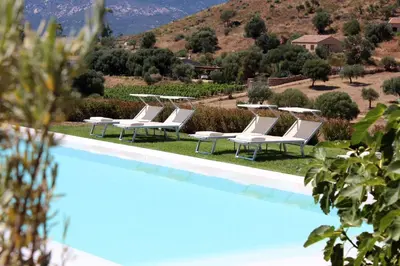 Piscina di Albero Capovolto o nelle vicinanze