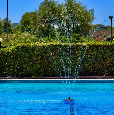 Piscina di Villa Aurelia o nelle vicinanze