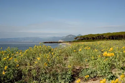 Paesaggio naturale nelle vicinanze della villa