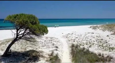 Paesaggio naturale nelle vicinanze della casa vacanze