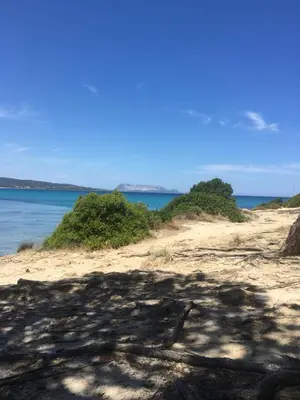 Paesaggio naturale nelle vicinanze della villa