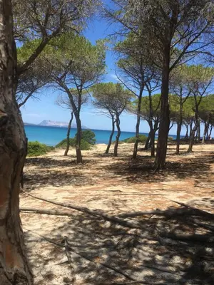 Paesaggio naturale nelle vicinanze della villa