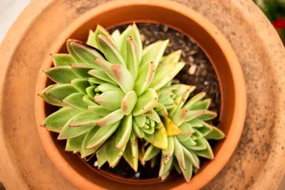 Planimetria di Casa Nina con terrazza