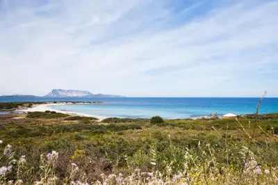 Paesaggio naturale nelle vicinanze dell'aparthotel