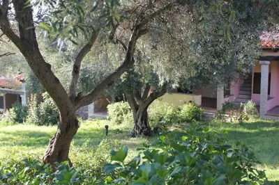 Giardino di Residence Approdo Verde