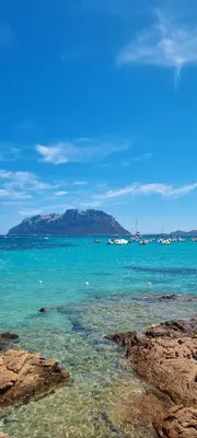 Paesaggio naturale nelle vicinanze dell'affittacamere