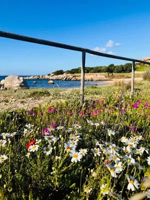 Paesaggio naturale nelle vicinanze dell'affittacamere