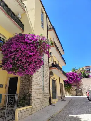 Edificio in cui si trova l'appartamento
