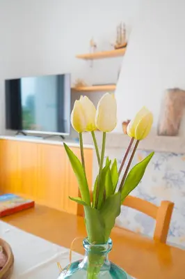 Planimetria di Casa Masini San Teodoro
