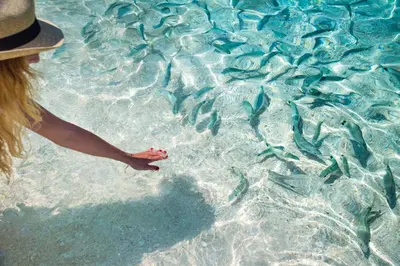 Paesaggio naturale nelle vicinanze della casa vacanze