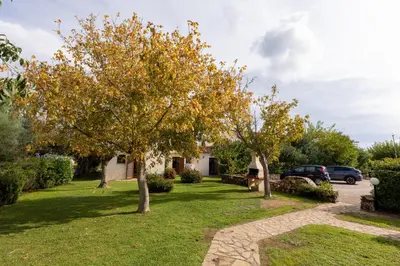 Giardino di ISA-Apartments with air conditioning and external outdoor space in Budoni, at only 300 m from the beach
