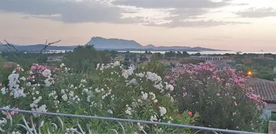 Paesaggio naturale nelle vicinanze dell'appartamento