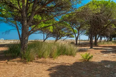 Paesaggio naturale nelle vicinanze dell'appartamento