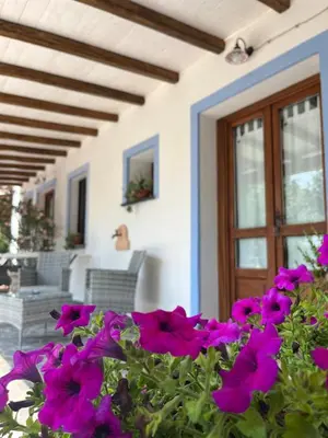 TV o dispositivi per l'intrattenimento presso Residenza di Campagna Dolmen Motorra