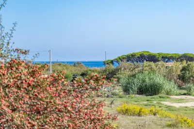 Paesaggio naturale nelle vicinanze della casa vacanze