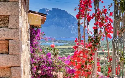 Paesaggio naturale nelle vicinanze dell'appartamento