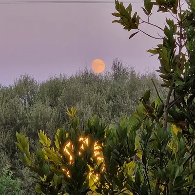 Paesaggio naturale nelle vicinanze della casa vacanze