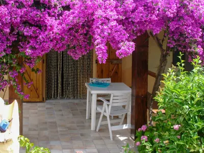 Giardino di La Casa di Giacomo e Graziella Villaggio Tamerici