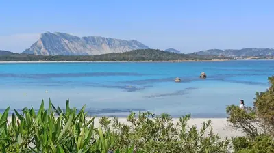 Paesaggio naturale nelle vicinanze della casa vacanze