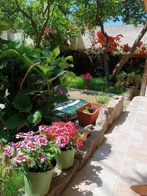 Giardino di Domo Janas Affittacamere Guesthouse