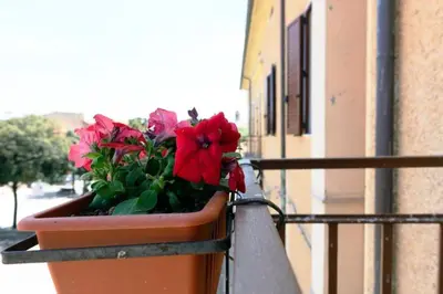 Balcone o terrazza di B&B La casa di Dorothy