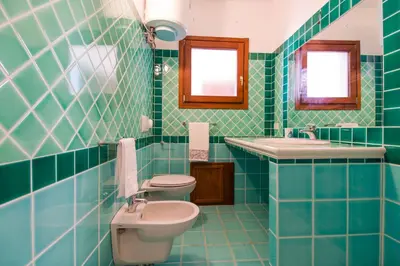 Bagno di Appartamento Rododendro con A/C