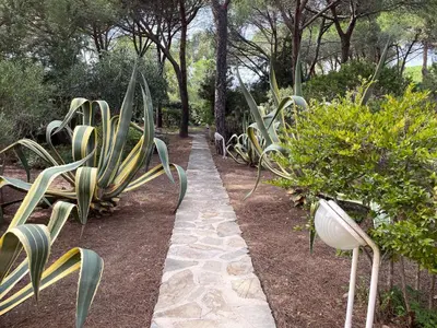 Giardino di VILLA FARFALLE CON STREPITOSA SCOGLIERA PRIVATA
