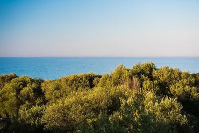 Paesaggio naturale nelle vicinanze della casa vacanze