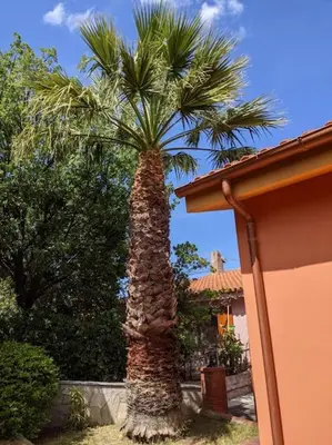 Giardino di Villetta Stella Marina