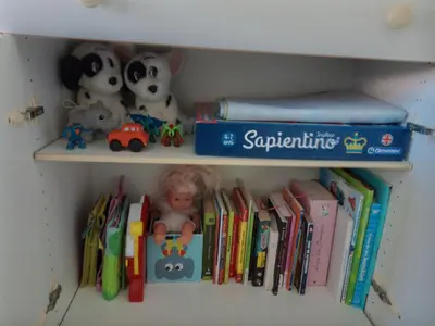 Biblioteca nell'appartamento