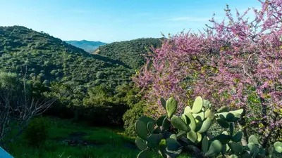 Paesaggio naturale nelle vicinanze dell'appartamento