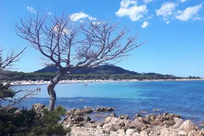Paesaggio naturale nelle vicinanze dell'appartamento