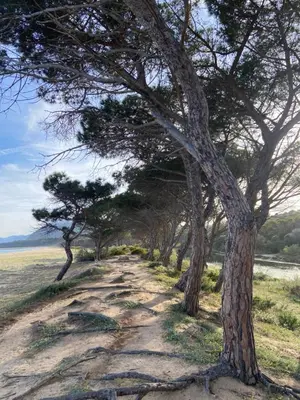 Paesaggio naturale nelle vicinanze dell'appartamento