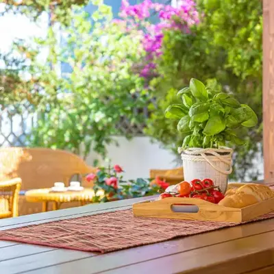 Salemi's Garden