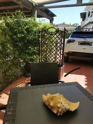 Planimetria di La Conchiglia di Porto Ottiolu