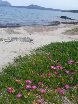 Paesaggio naturale nelle vicinanze dell'appartamento