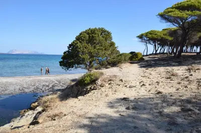 Paesaggio naturale nelle vicinanze della villa