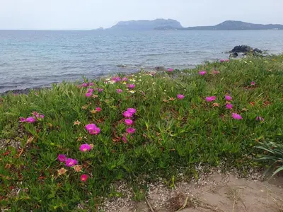 Paesaggio naturale nelle vicinanze della casa vacanze