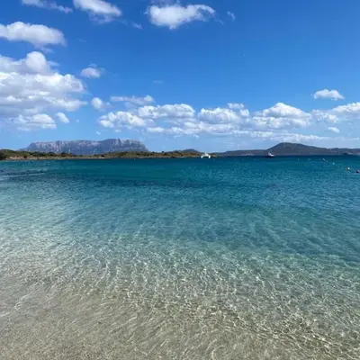 DreamHouse B&B Olbia