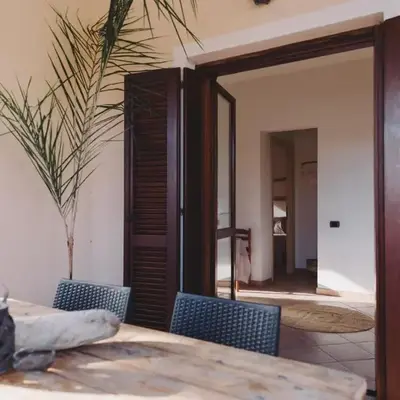 Cactus Comfort Apartment