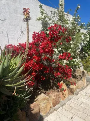 Giardino di Casa Beccari