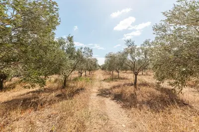 Paesaggio naturale nelle vicinanze dell'affittacamere