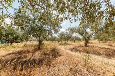 Paesaggio naturale nelle vicinanze dell'affittacamere