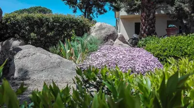 Giardino di B&b Giglio di Mare